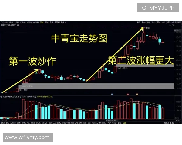 上海排球队的节奏分析与战术探讨如何提升整体竞技水平