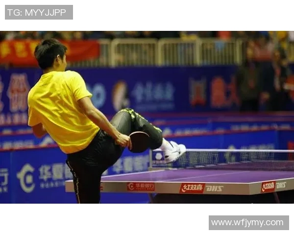 成都羽毛球队中路突破革新引领全国羽坛新风潮与发展趋势分析 成都羽毛球队中路突破革新引领全国羽坛新风潮与发展趋势分析