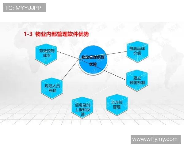 成都网球队的整体压制策略与技术分析深度探讨 成都网球队的整体压制策略与技术分析深度探讨