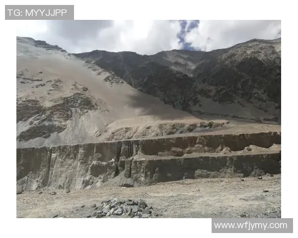 对话黄娜：回顾乒乓球生涯的辉煌与挑战之路