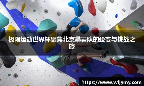 zoty中欧