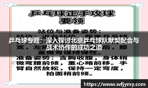 zoty中欧