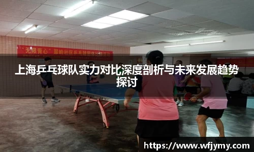 上海乒乓球队实力对比深度剖析与未来发展趋势探讨