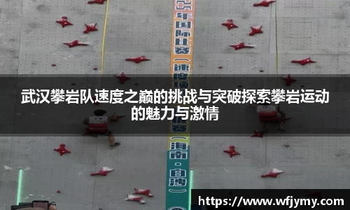 武汉攀岩队速度之巅的挑战与突破探索攀岩运动的魅力与激情