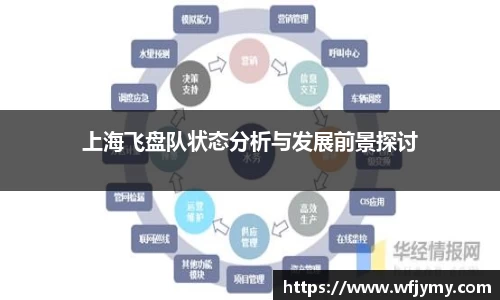 上海飞盘队状态分析与发展前景探讨